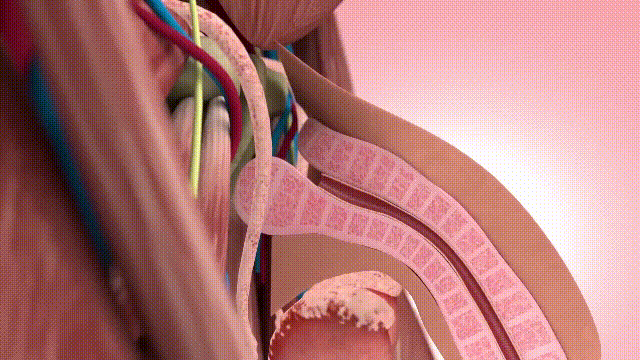 COD单页系统建站,联系QQ：494906791/微信：Cod_web