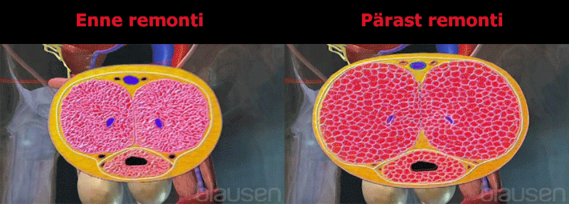 COD单页系统建站,联系QQ：494906791/微信：Cod_web